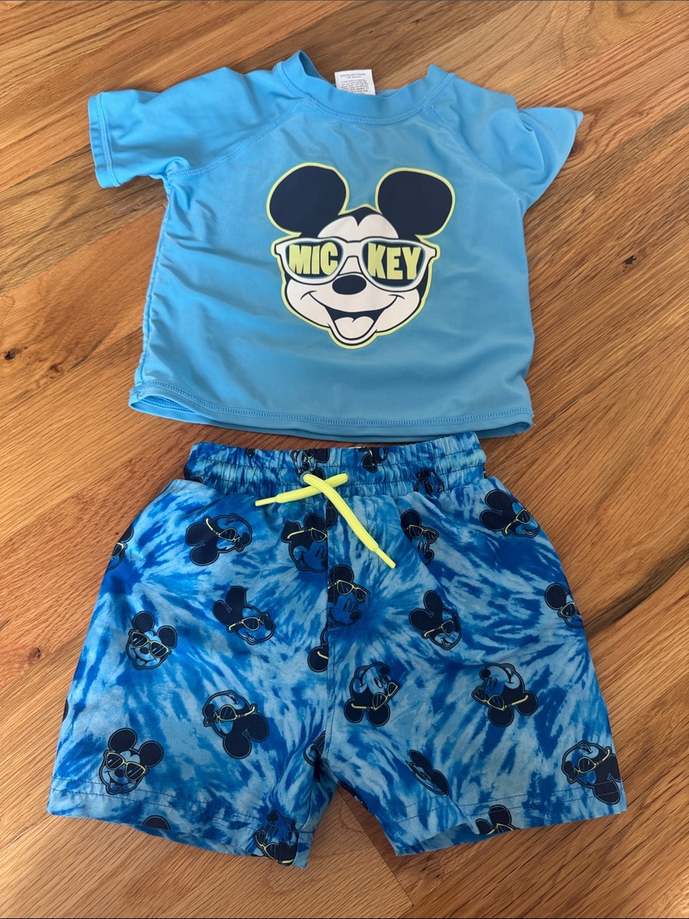 Mickey Swim